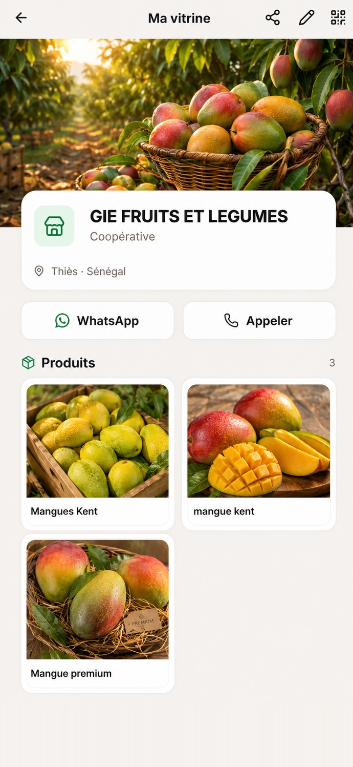 Votre vitrine : Couverture, produits, contact direct - LINKI Business